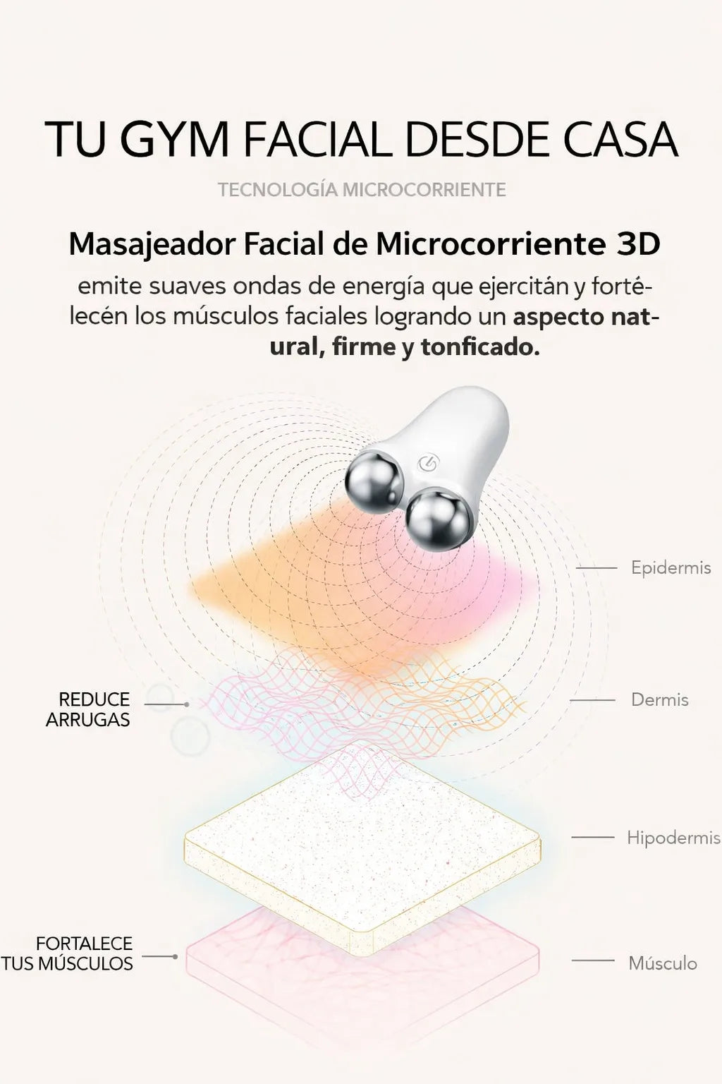 Encabezado